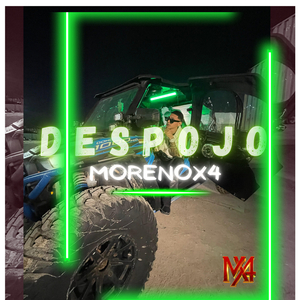Despojo