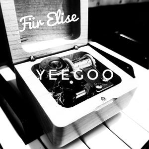 Ludwig van Beethoven-致爱丽丝（Yeegoo remix）