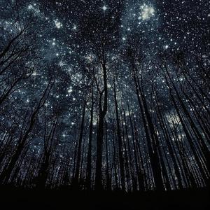 Little Stars (feat. Alex Puica)