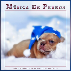 Música Instrumental para Perros