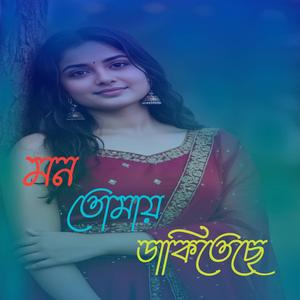 মন তোমায় ডাকিতেছে