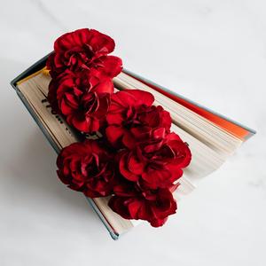 Never Forget I Love You