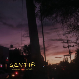 Sentir (Después de la Tarde)