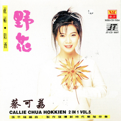 人生情路梦+情字这条路