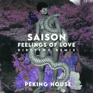 Feelings Of Love (Dirtytwo Remix)