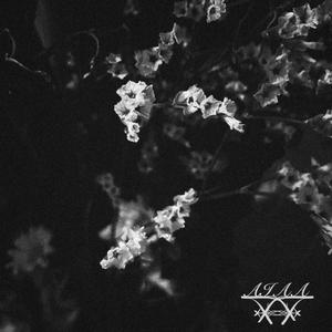 Un Sol Muerto, Un Resplandor Pálido