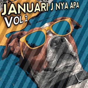 JANUARI J NYA APA-VOL 2