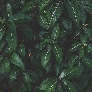 哄睡安眠摇篮曲