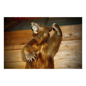 sweaty eyes (one thousand days)