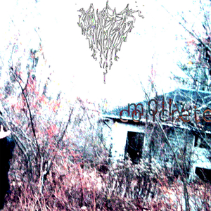 concrete (ft. Barbed Wire Barbie)