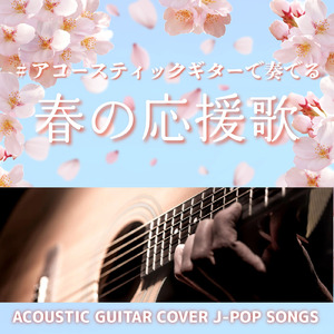 涙そうそう (GuitarCover)