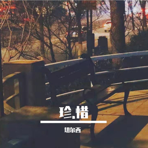 刘若英-后来remix(Remix)