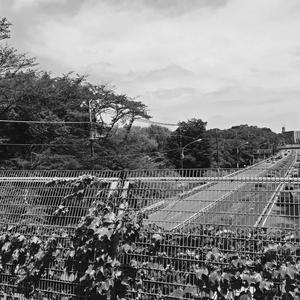 Ghost in the miniature