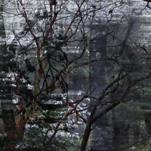 t̸̹̹̕ị̷̩̉̌̇͜ṛ̷̊e̵̯̼̣̍d̷̢̿͘ö̵̙̦̣́̔͝f̸̮̟̄ḣ̸̤͔̿o̸̲̰͉̓̋͛l̵̞͎̐d̴͕̤̿n̶̲̲̑͘͝g̴̮̗͂̿̃o̴̢̜̲̎́ň̵̝