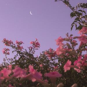 七月的雨（Cover：蒋小呢）