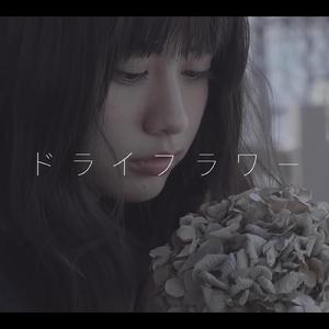 ドライフラワー/干燥花