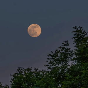 古风（相思醉）