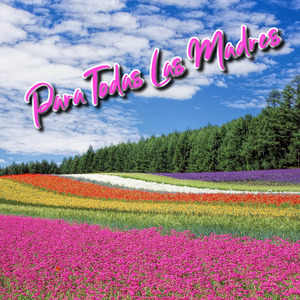 A Tu Memoria Madrecita