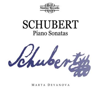 Piano Sonata No. 7 in E-Flat Major, D. 568: II. Andante molto
