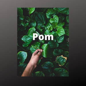 Pom