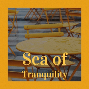 There Are Trails Across the Night Sky