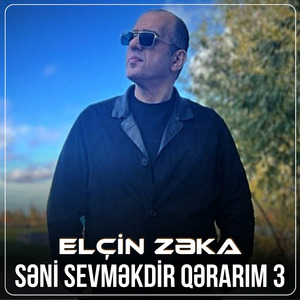 Səni Sevməkdir Qərarım 3