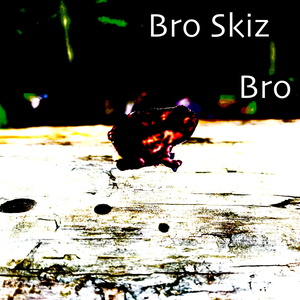 Bro