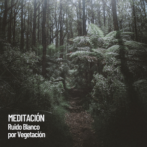 Vegetación pacífica y tranquila