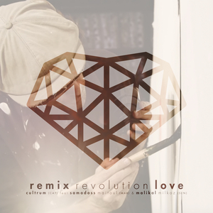 Revolution Love (Remix)