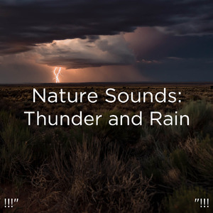 Thunder & Rain Sounds
