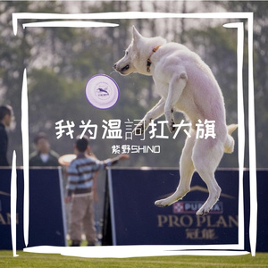 nag（cover：センチミリメンタル）