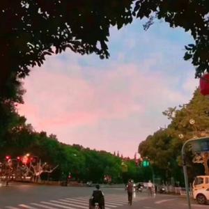 Juliae（Prod. 牙刷）