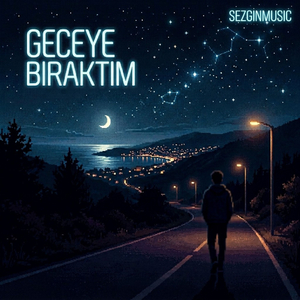 Geceye bıraktım