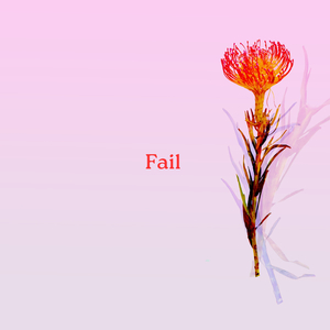 Fail