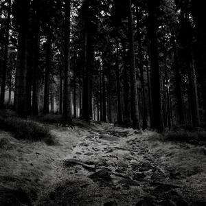 Breatharian (feat. Brock Hewitt: Stories in Sound)