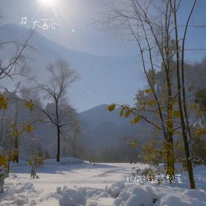 秋风经过雪飘落