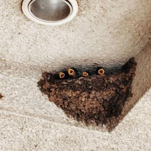 带我走（Cover Demo） 伴奏