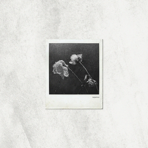 이별과 사랑 사이