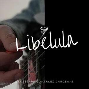 Libélula