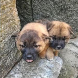 愿你在我看不到的地方安然无恙