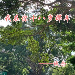我在你十八岁那年
