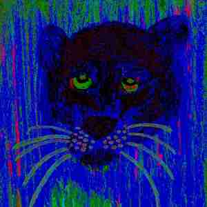 Twinkle, Twinkle, Little Sphere (一闪一闪小球体)