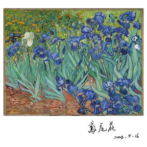 鸢尾花 伴奏