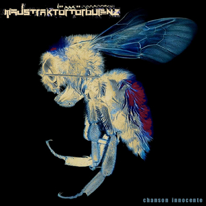 Naturalistic Domestic Objects