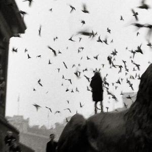 这一生关于你的风景