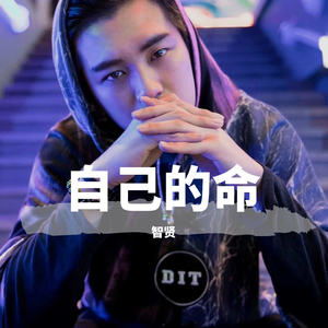 智贤-爱如潮水 cover6（智贤 remix）