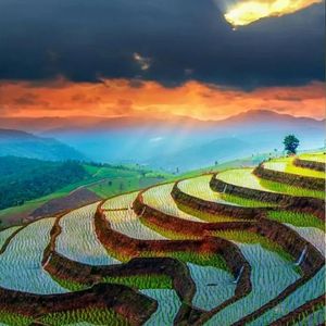 逃跑计划-夜空中最亮的星（华尔街最野的狗 remix）