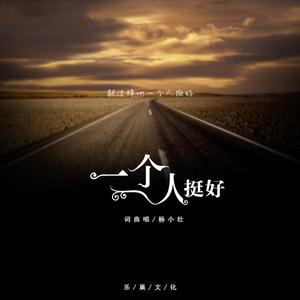 杨小壮-一个人挺好（DJheap九天(万旭) remix）