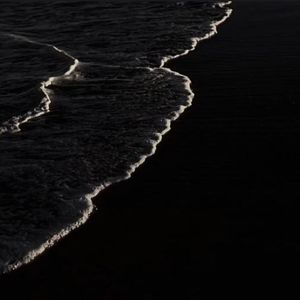 繁花盛景中的温柔之约