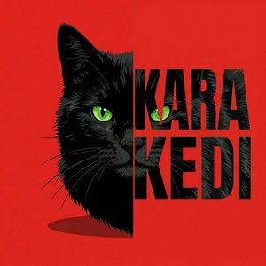 Kara Kedi